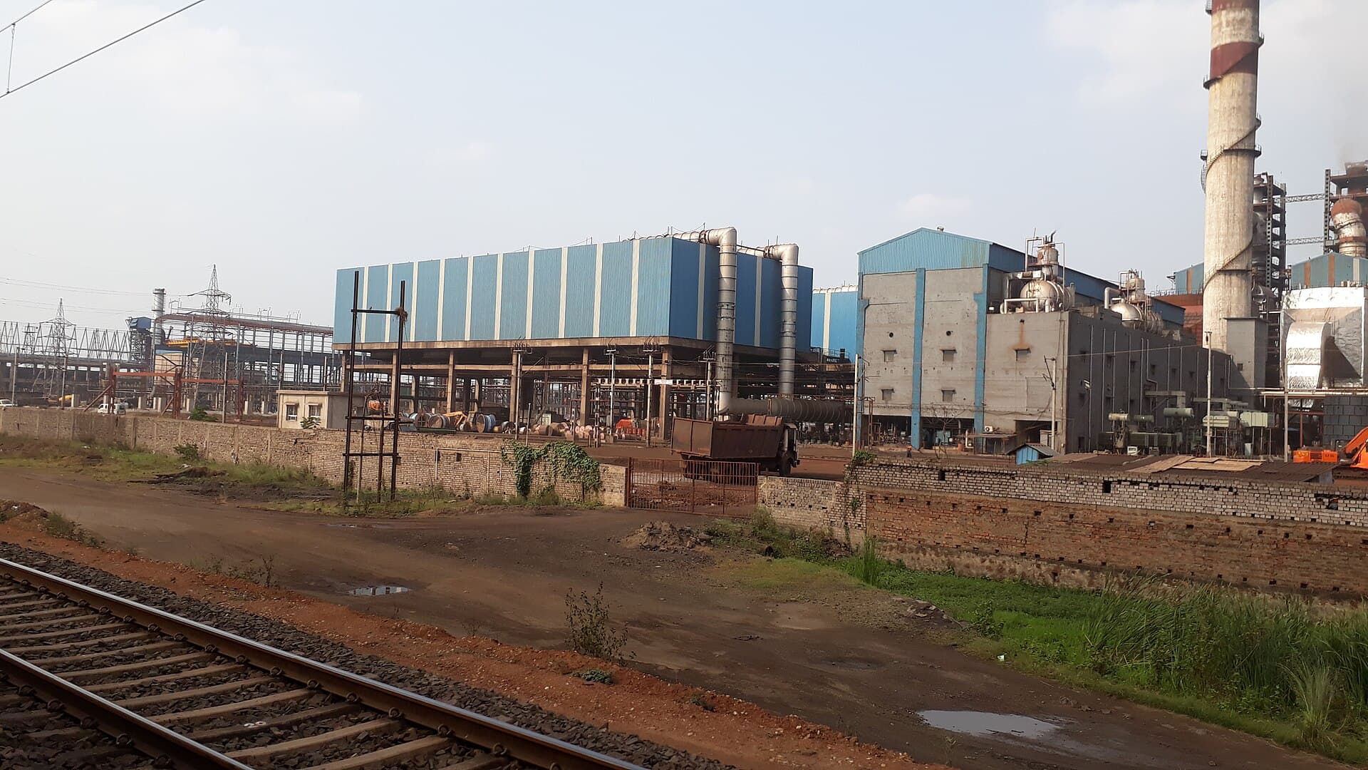 Voi plant at dusk